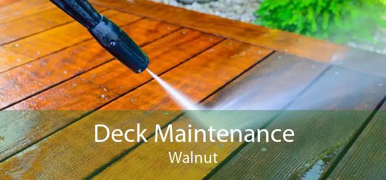 Deck Maintenance Walnut