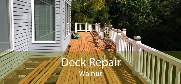 Deck Repair Walnut